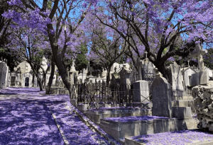 cemiterio dos prazeres in lisbon