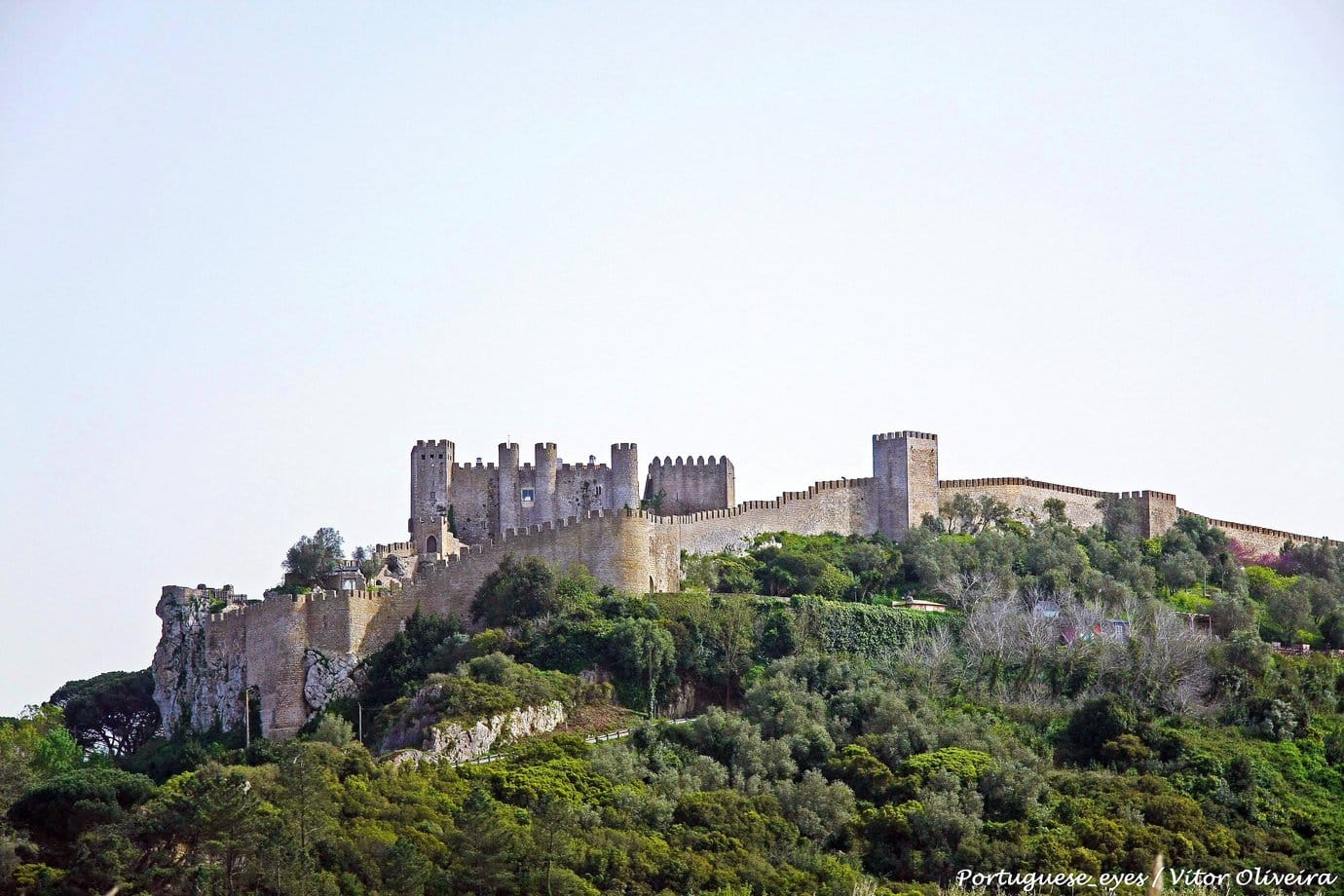 Medieval Castelo de Obidos and its walls seen from a hillside surrounded by trees