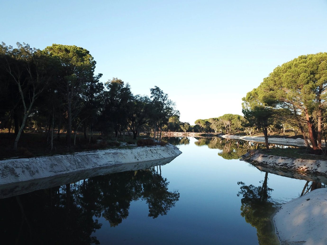 Sunlit canal lined with pine trees near Comporta, part of the landscape crossed by Feel Comporta's buggy tours